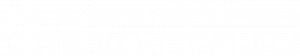 White American First Finance Logo