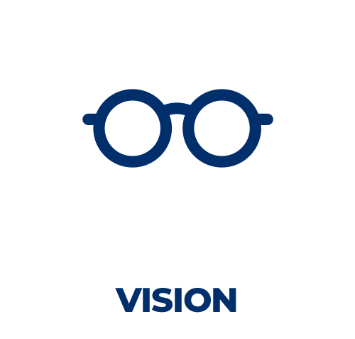 Vision Icon